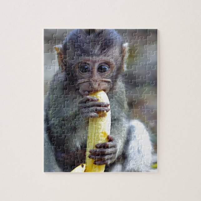 Cute baby makaque apa som äter banan pussel (Vertikal)