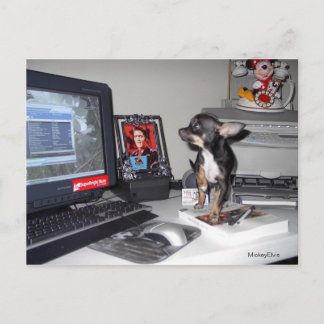 Cute Baby MickeyElvis 1 Vykort