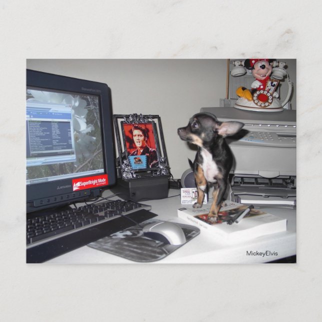 Cute Baby MickeyElvis 1 Vykort (Framsida)