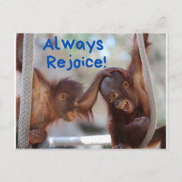 Cute Baby Orangutan Alltid Rejoice Vykort