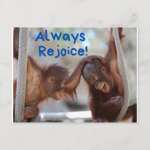 Cute Baby Orangutan Alltid Rejoice Vykort