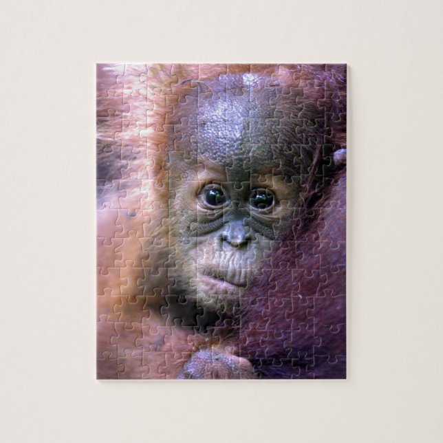 Cute baby orangutan i Sumatra Pussel (Vertikal)