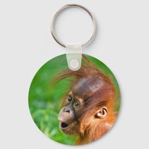 Cute baby orangutan ser på nyckelring