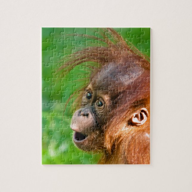 Cute baby orangutan ser på  pussel (Vertikal)