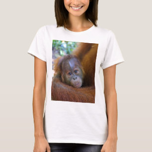 Cute baby Orangutan T Shirt