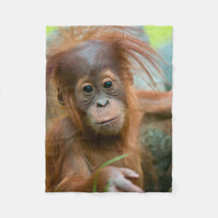 Cute Baby Orangutan tittar rakare framåt Fleecefilt