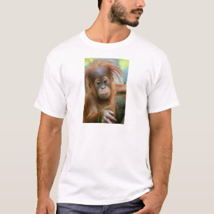 Cute Baby Orangutan tittar rakare framåt T Shirt