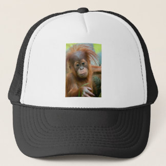Cute Baby Orangutan tittar rakt framåt Keps