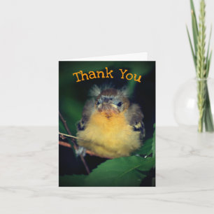Cute Baby Oriole Bird Natur - Tack för ditt kort