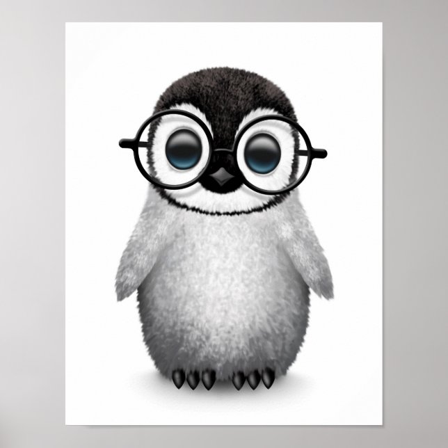 Cute Baby Penguin, med glasögon i Öga på vitt Poster (Framsidan)
