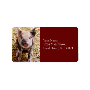 Cute Baby Piglet Boskap Barnyard Spädbarn Adressetikett