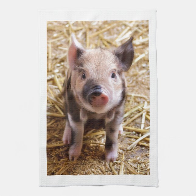 Cute Baby Piglet Boskap Barnyard Spädbarn Kökshandduk (Vertikal)