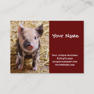 Cute Baby Piglet Boskap Barnyard Spädbarn Visitkort