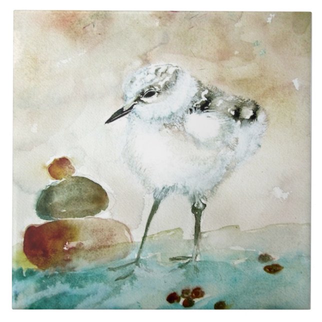 Cute Baby Plover Ceramic Kitchen Tile Kakelplatta (Framsidan)