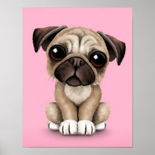 Cute Baby Pug Puppy Hund på Rosa Poster