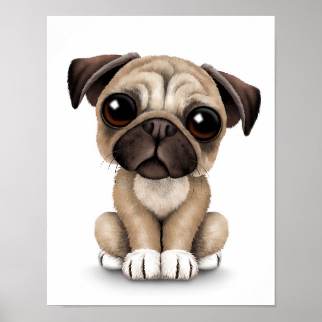Cute Baby Pug Puppy Hund på vit Poster (Framsidan)