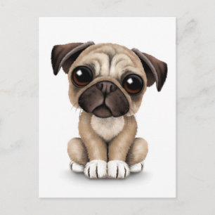 Cute Baby Pug Puppy Hund på vit Vykort