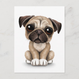 Cute Baby Pug Puppy Hund på vit Vykort