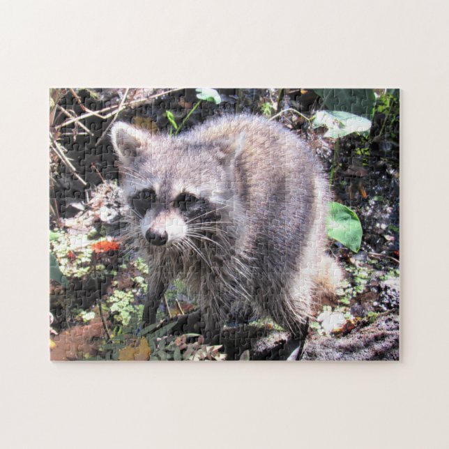 Cute Baby Raccoon Foraging Jigszle Puzzle Pussel (Horisontell)