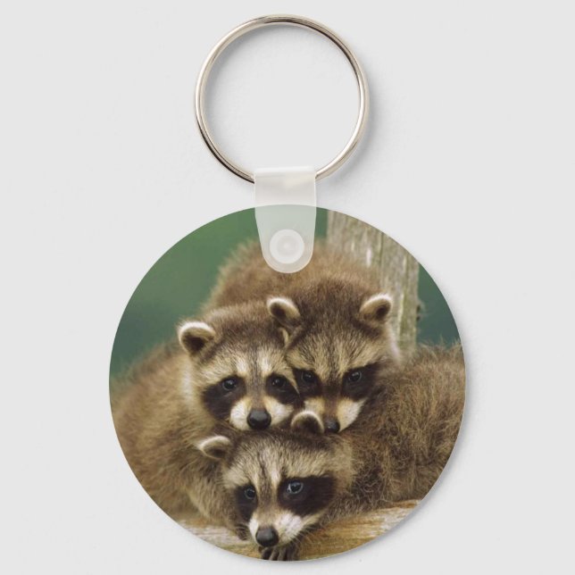 Cute Baby Raccoon Nyckelring (Framsida)