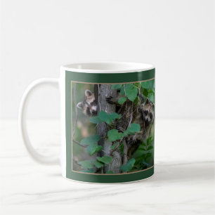 Cute Baby Raccoons /Gräns Kaffemugg