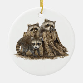 Cute Baby Raccoons Ornament