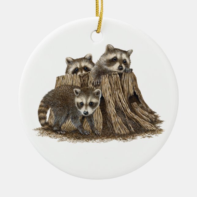 Cute Baby Raccoons Ornament (Framsidan)