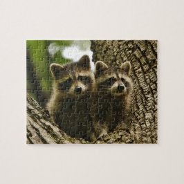 Cute Baby Raccoons Pussel