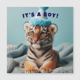Cute Baby Reveal Boy Baby Tiger