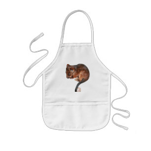 Cute Baby Ringtail Possum Barnförkläde