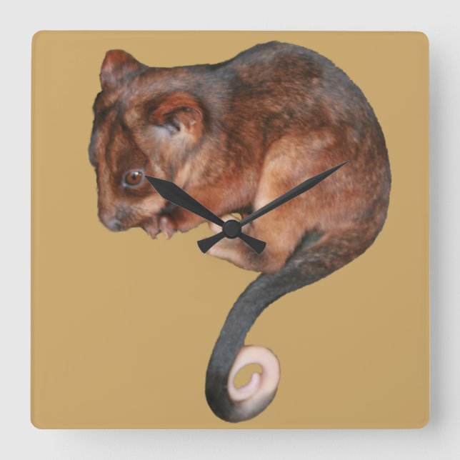 Cute Baby Ringtail Possum Fyrkantig Klocka (Framsida)