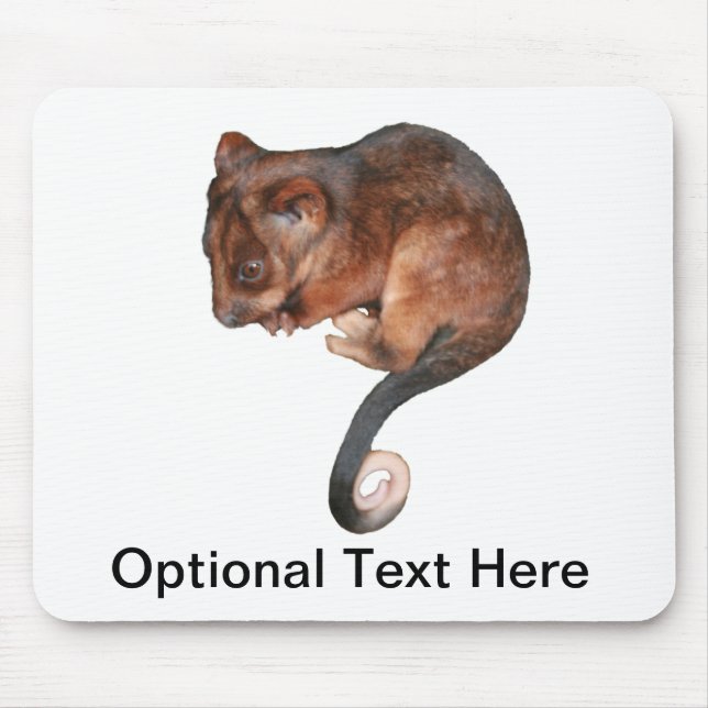Cute Baby Ringtail Possum Musmatta (Framsidan)