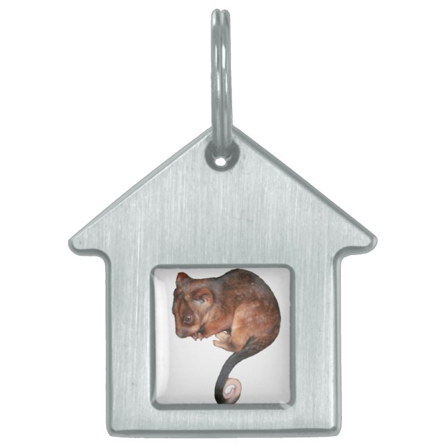 Cute Baby Ringtail Possum Namnbricka Husdjur (Framsidan)