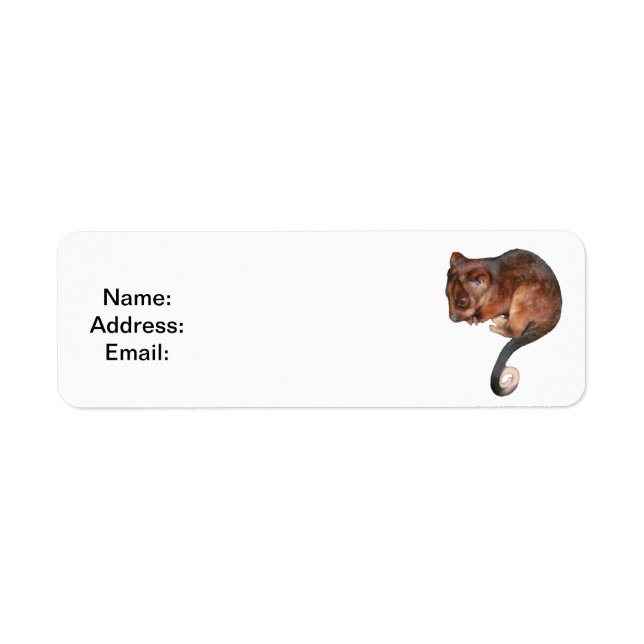 Cute Baby Ringtail Possum Returadress Etikett (Framsidan)
