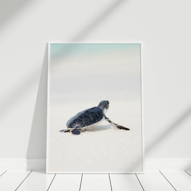 Cute Baby Sea Turtle vid Beach Poster (Cute Baby Sea Turtle on the Beach Poster in white frame on white floor.)