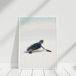 Cute Baby Sea Turtle vid Beach Poster<br><div class="desc">Denna söta Baby Sea Turtle på Beach-Poster är underbar för att dekorera ett kusthem.</div>