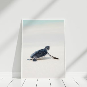 Cute Baby Sea Turtle vid Beach Poster