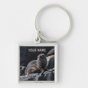 Cute Baby Seal på Sten Tasmania Australien Fyrkantig Silverfärgad Nyckelring
