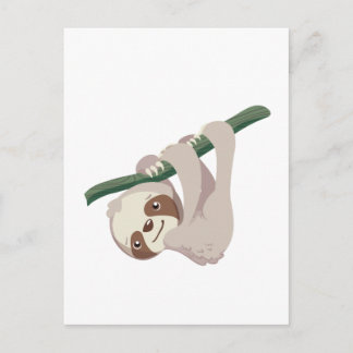 Cute Baby Sloth på Gren Vykort