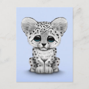 Cute Baby Snö Leopard Unge på ljusblått Vykort