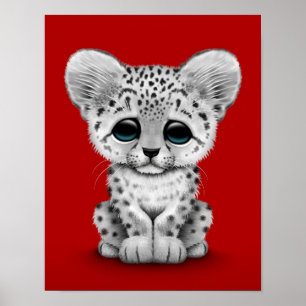 Cute Baby Snö Leopard Unge på Röd Poster