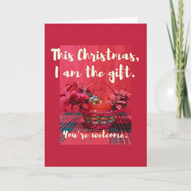 Cute Baby Sulcata Tortoise in poinsettia basket Kort (Framsida)