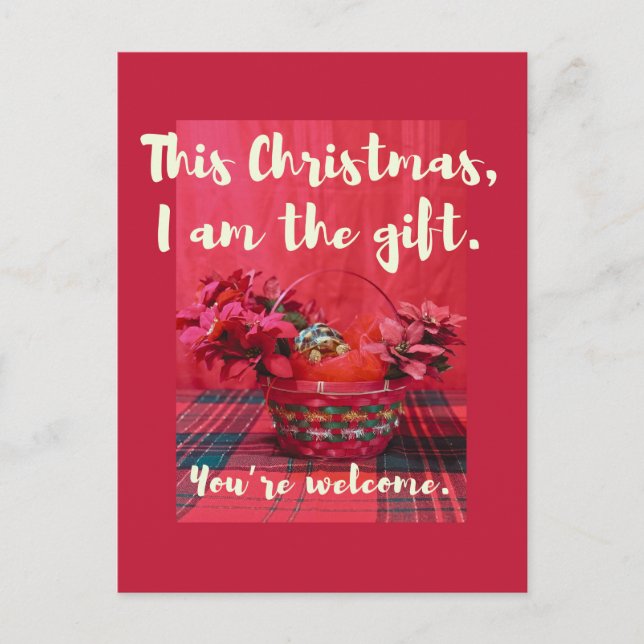 Cute Baby Sulcata Tortoise in poinsettia basket Vykort (Framsida)