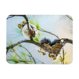 Cute Baby Uggla Wildlife Photography Magnet