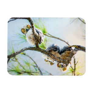 Cute Baby Uggla Wildlife Photography Magnet