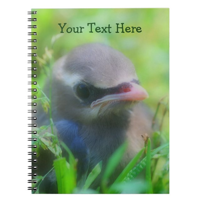 Cute Baby Waxwing Bird Animal Notebook Anteckningsbok (Framsidan)