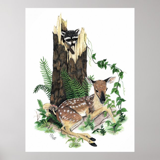 Cute Baby Whitetail Hjort Fawn and Raccoon Print Poster (Framsidan)