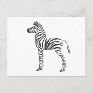 Cute Baby Zebra Teckning Vykort
