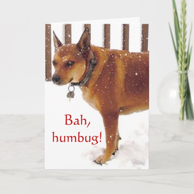 Cute Bah, Humbug! Grumpy Red Cattle Hund Diva Helgkort (Framsida)