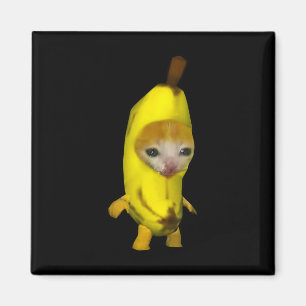 Cute Banana Cat Lycklig Bananacat Meme Kattunge Lo Magnet
